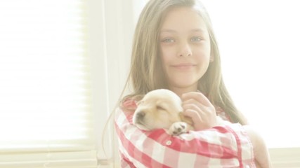 Poster - cute little girl and puppy Labrador near a window