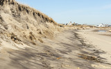 Fototapeta Tęcza - Beach erosion on Cape Cod Bay