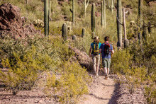 Two Hikers On Rugged Trail