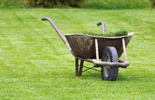 Old Wheelbarrow On A Lawn With Fresh Grass Clippings In Summer