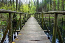 Footbridge Path On Trail In Forest