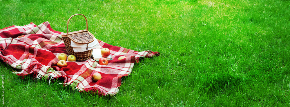 Checkered Plaid Picnic Basket Green Grass Summer - obrazy, fototapety, plakaty 