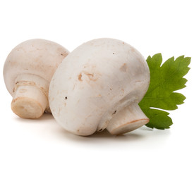 Champignon and parsley herb still life isolated on white backgro