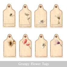 Set Of Eight Retro Botanical Flower Tags