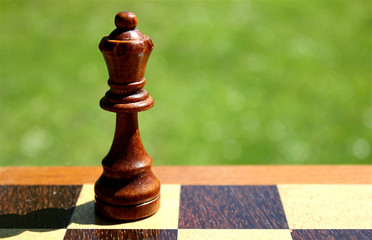 Detail of wooden chess piece on a chessboard, black queen in focus, green grass as background