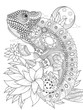 chameleonb adult coloring page