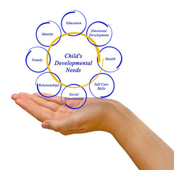 Poster - diagram of Child's Developmental Needs