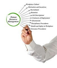 Sticker - Diagram of Human Resource Management