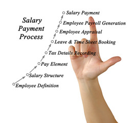 Wall Mural - Process of Salary Payment