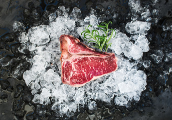 Raw fresh meat t-bone steak on chipped ice with rosemary