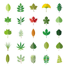 Leaves Color Vector Icons