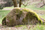 Fototapeta Desenie - Großer Stein mit Moos bewachsen an einem Waldrand
Big stone overgrown with moss on a forest edge
