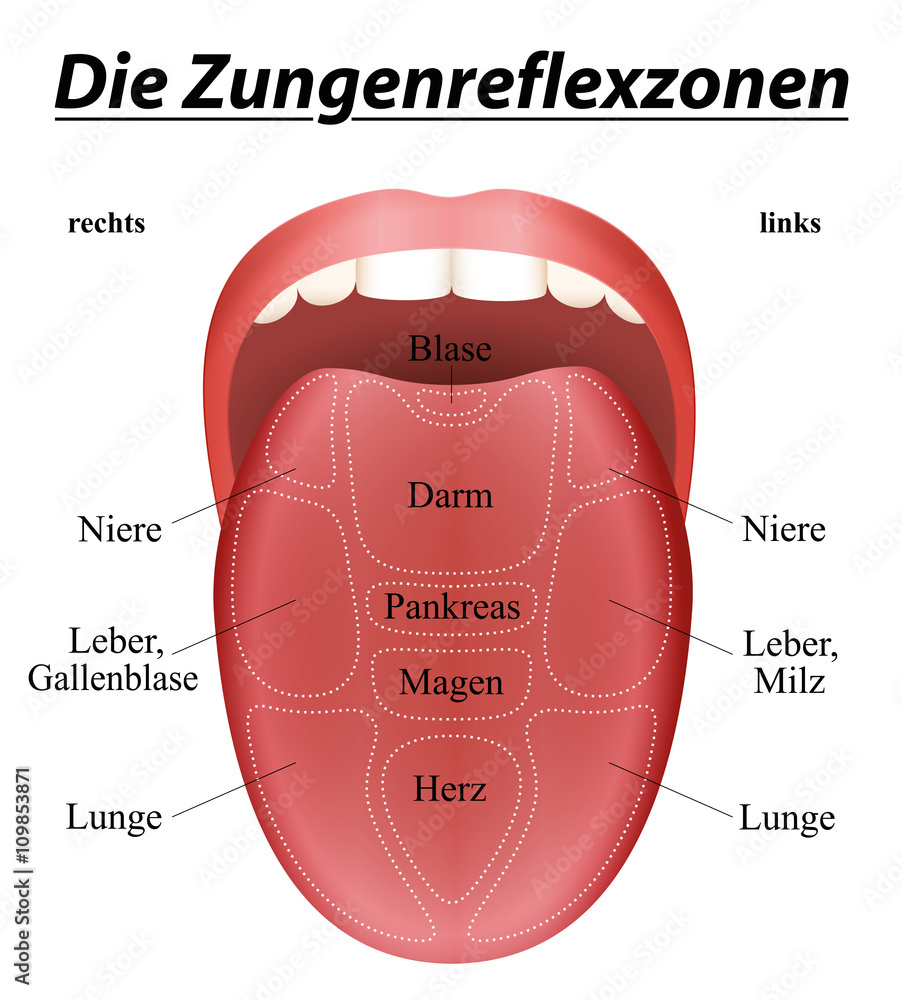 Tongue reflexology chart - GERMAN LABELING - with description of the ...