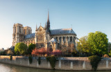 Fototapeta Paryż - Notre Dame of Paris on the late afternoon in Spring