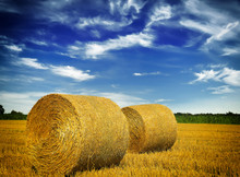 Hay Bale In The Countryside