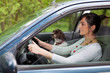 © aerogondo - woman driving car with a dog