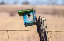 Bird House On A Fence Post