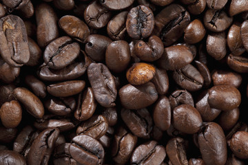 coffee beans.