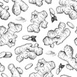 © Maria.Epine - Vector hand drawn Ginger seamless pattern. Ginger root and cuted
