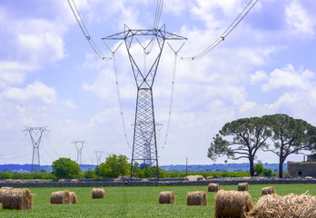 electricity pylons in the countryside apulia. Italy