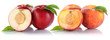 Pfirsich Nektarine Pfirsiche Nektarinen Frucht Früchte Obst Fre