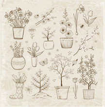 Doodle Sketch Garden Flowers In Vintage Style