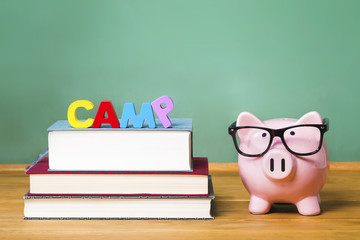 educational summer camp theme with pink piggy bank