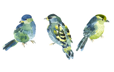 Naklejka na meble Watercolor bird collection for your design.