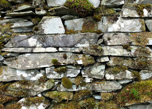 Mossy Dry Stone Wall, Lake District, UK