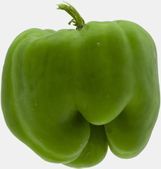 Poster - green bell pepper