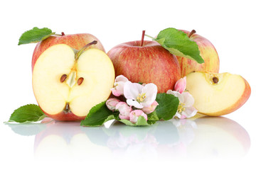 Fototapete - Apfel Äpfel Frucht Früchte Obst geschnitten Hälfte Freistelle