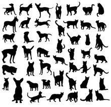 Cat And Dog Set, Art Vector Silhouettes Design
