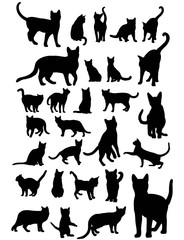 Wall Mural - Cat Silhouettes Set, art vector design