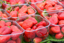 Strawberries (Fragaria Ananassa) In Punnets For Sale At Market S