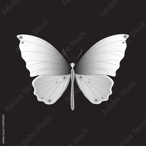 Cuadros en Lienzo Iron Butterfly, Vector illustration.