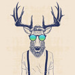 cool deer