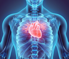 3D Illustration Of Heart, Medical Concept.