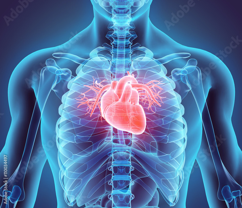 3d-ilustracja-serce-medyczny-pojecie
