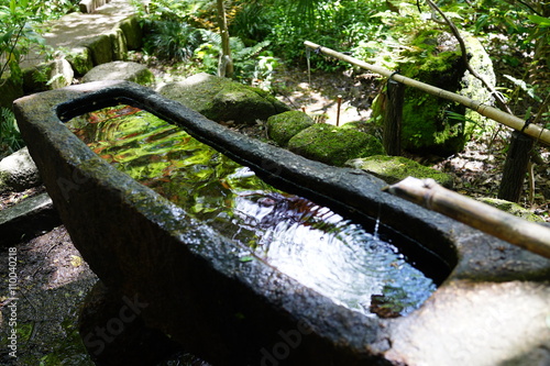 水鉢 手水鉢 反射 水面 神社 禊 庭 日本文化 Stock Photo Adobe Stock 水鉢 手水鉢 反射 水面 神社 禊 庭 日本文化 Stock Photo Adobe Stock