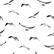 flying birds seamless pattern, illustration isolated on white background.