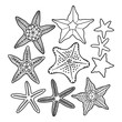 Graphic starfish collection