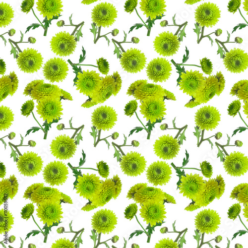 original rare green chrysanthemum repeating seamless pattern