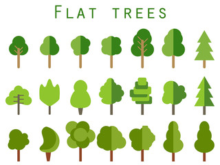 Wall Mural - Flat trees. Trees set in a flat design. Vector icons.