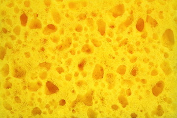 Yellow Sponge Surface Abstract Background