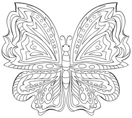 Wall Mural - Black and white illustration of butterfly for coloring. Developing children skills for drawing. Vector image.