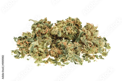 Zdjęcie XXL Marihuana pączki odizolowywający na białym tle