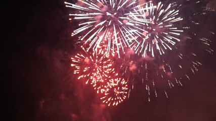 Wall Mural - firework on the open sky at night
