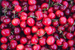 Organic Cherries in california. Organic california grown cherries in the summertime. Shot during the day in Malibu, California - this image celebrates sustainable farming and healthy eating of fruits.