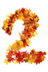 Wall Mural - alphabet sign from autumn leaf