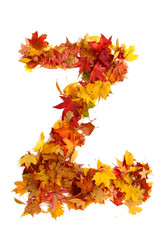 Wall Mural - alphabet sign from autumn leaf